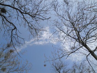 显瘦宽松套头衫 潮女装 加厚针织打底 高领毛衣女韩版 2019秋冬新款