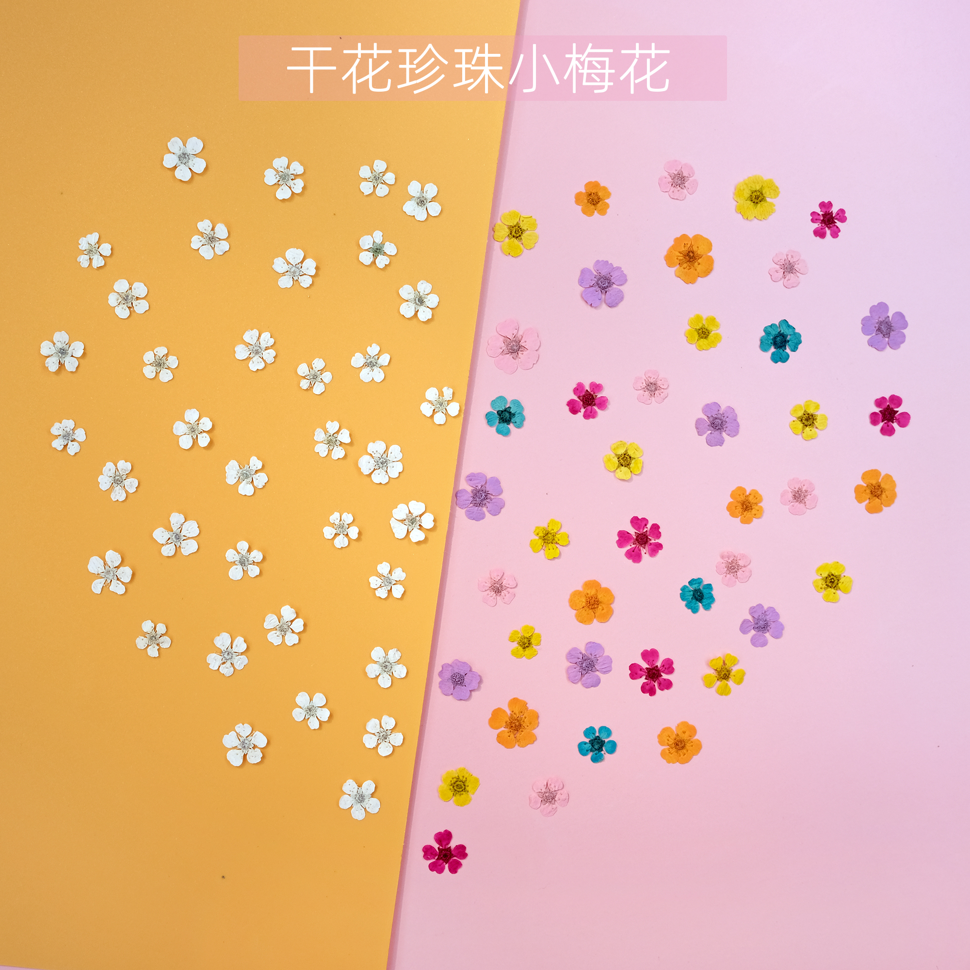 迷你干花小水仙手工diy贴脸妆