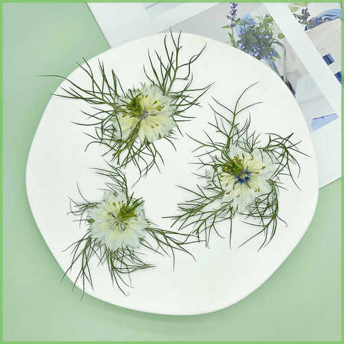 白色小清新幼儿园压花蜡烛装饰
