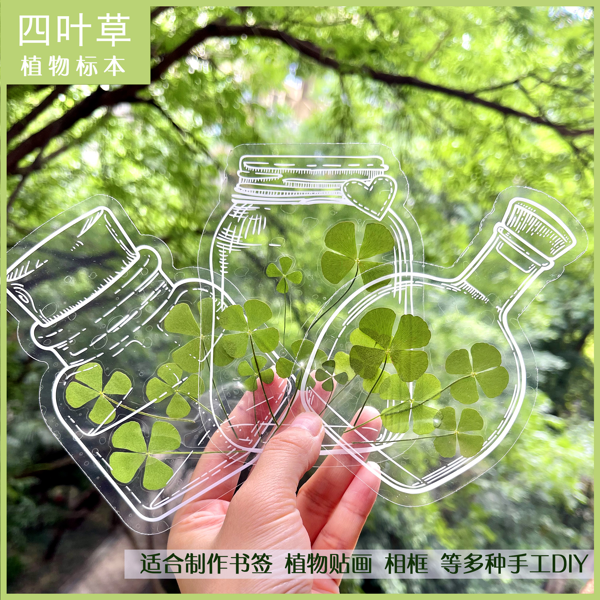 四叶草天然标本书签手账diy