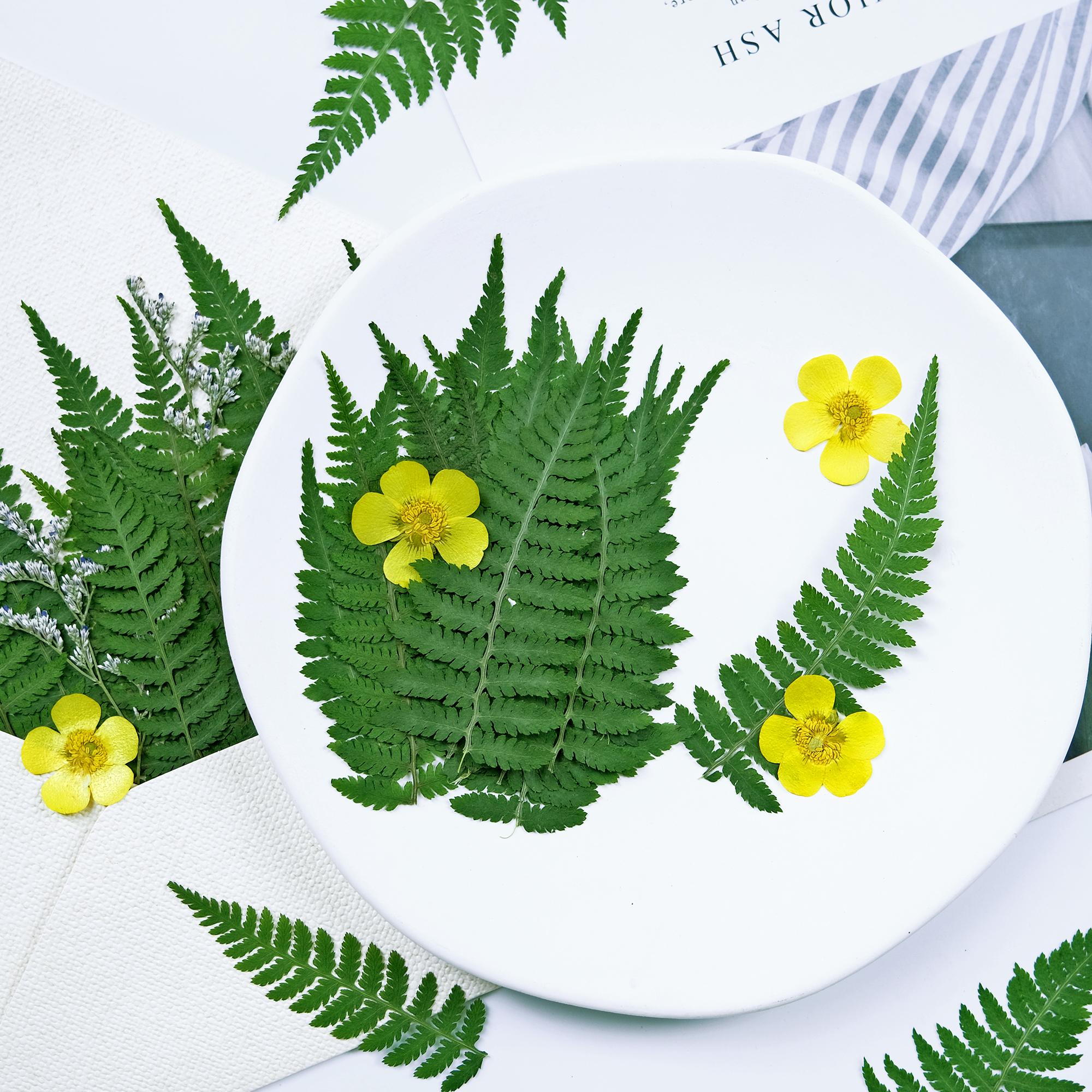 广豆叶压花植物标本幼儿园儿童DIY手工活动书签相框押花画装饰diy图片