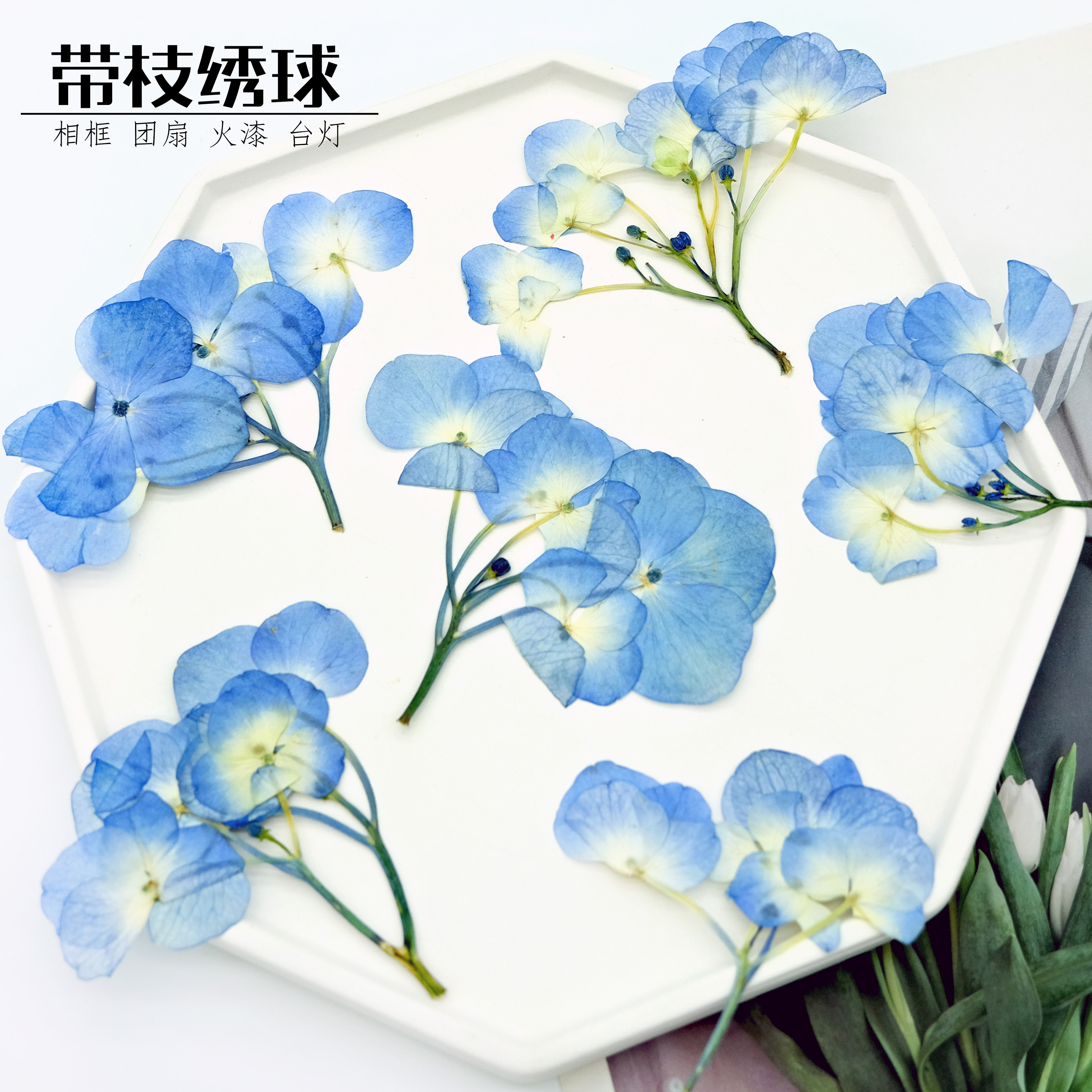 绣球花信封装饰手账素材图片