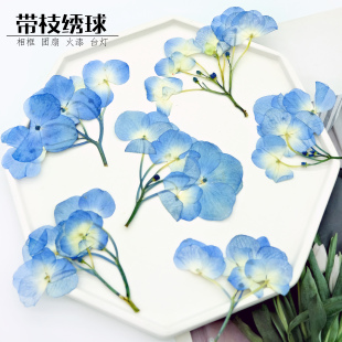 蓝色带枝绣球压花干花相框手账素材火漆信封搭配装饰滴胶diy材料