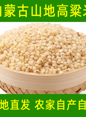 2025新高粱米内蒙赤峰五谷杂粮高原山地东北农家自产5斤新米
