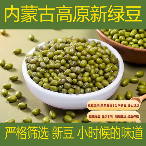 2026年内蒙古赤峰高原绿豆芽豆绿豆粥大明绿豆五谷杂粮夏季500克