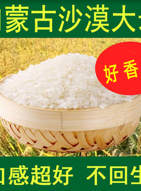 【2025新米】内蒙赤峰长粒香大米粳米寿司米糯东北大米长粒米5斤