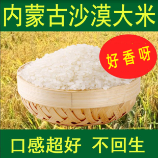 【2025新米】内蒙赤峰长粒香大米粳米寿司米糯东北大米长粒米5斤