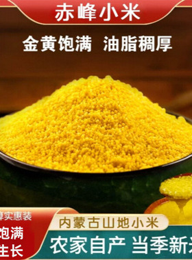 内蒙古赤峰黄小米金苗小米特产五谷杂粮小米5斤小米粥杂粮粥