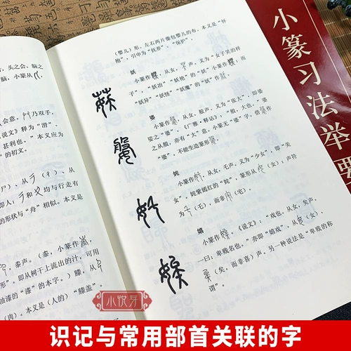 Метод затяжения Сяяна Си затянулся в первую щетку щетки Лин Зиксуаосиао, чтобы объяснить метод объяснения метода анализа кисти кисти.