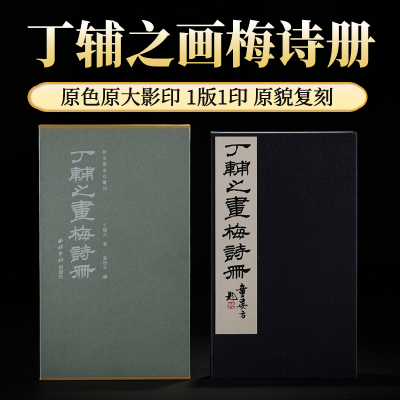 丁辅之画梅诗册秋水斋金石丛刊
