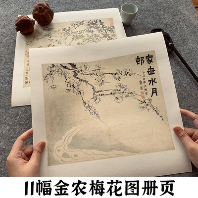 金农梅花图册页国画临摹画册