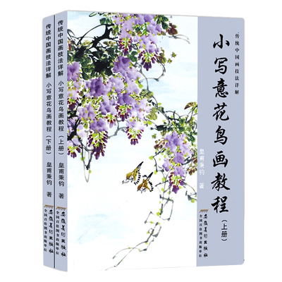 中国写意花鸟画入门技法教程