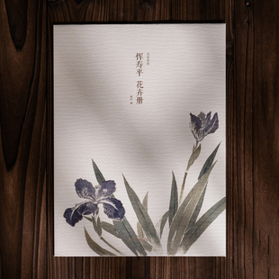 恽寿平花卉册 单片散页装帧可临摹可装饰 历代名家册页精选鉴赏传统中国画没骨花鸟画技法教程临摹卡画册画谱绘画作品集大家小品