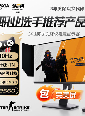 宏夏24.1英寸430hz电竞显示器FastTN360hz游戏屏BFI+FK2560