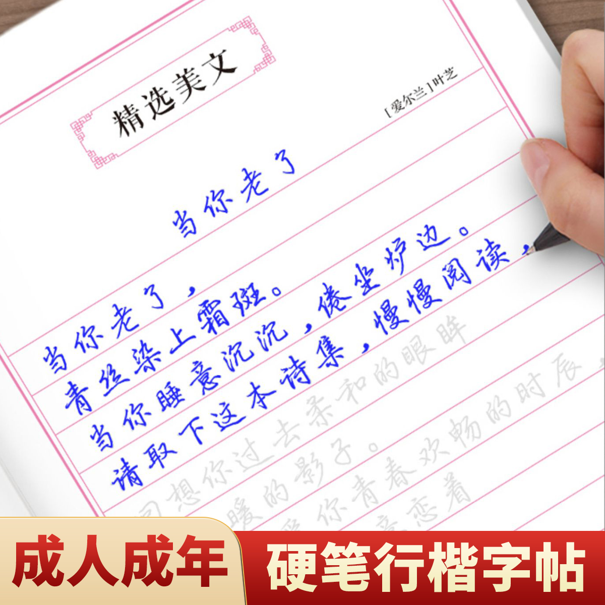 硬笔行楷临摹字帖初学者入门教程