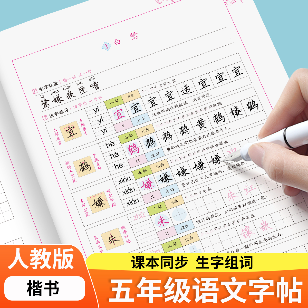 五年级上册下册语文同步练字帖