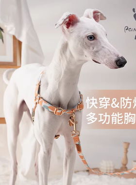 pawsholic爪迷狗狗胸背带防爆冲户外宠物牵狗牵引绳遛狗绳小型犬