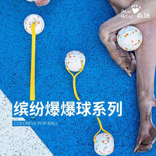 PawsHolic爪迷缤纷爆爆球狗狗自嗨解闷耐咬互动玩具球