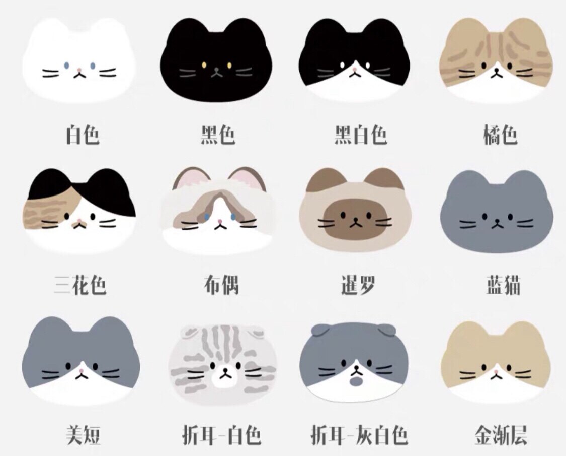咪咕 狗用品项圈防丢猫咪宠物定制中小型犬项链刻字泰迪狗牌滴胶
