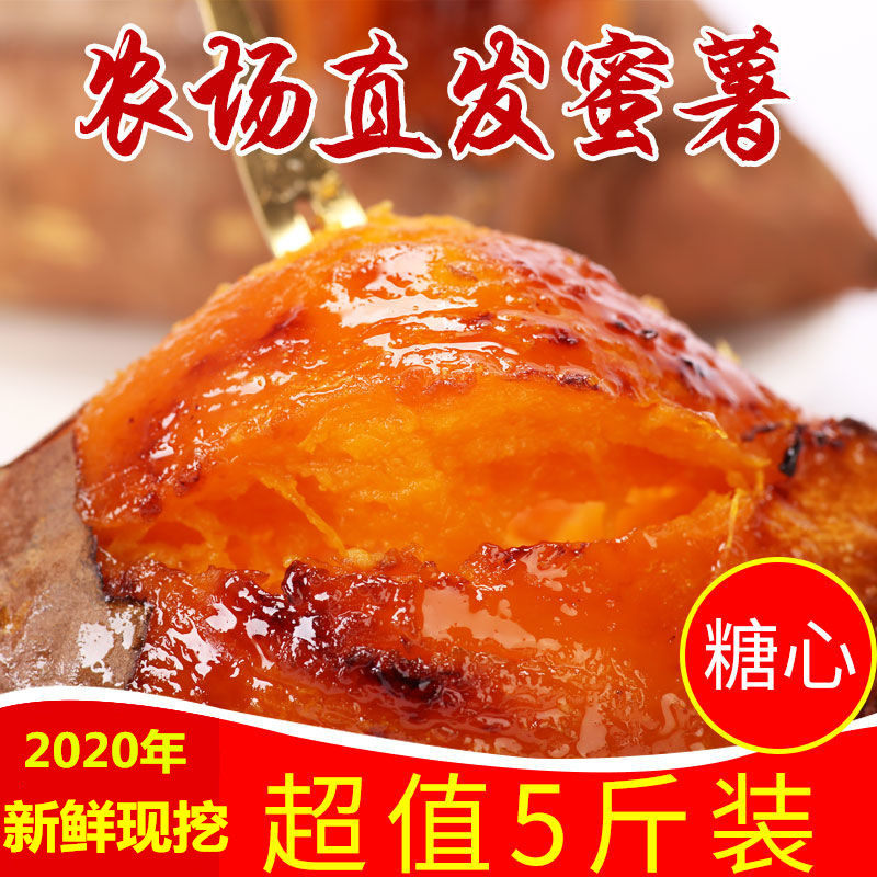 山东现挖新鲜红心蜜薯沙地流油糖地瓜超甜红薯中大果5斤番烟薯25
