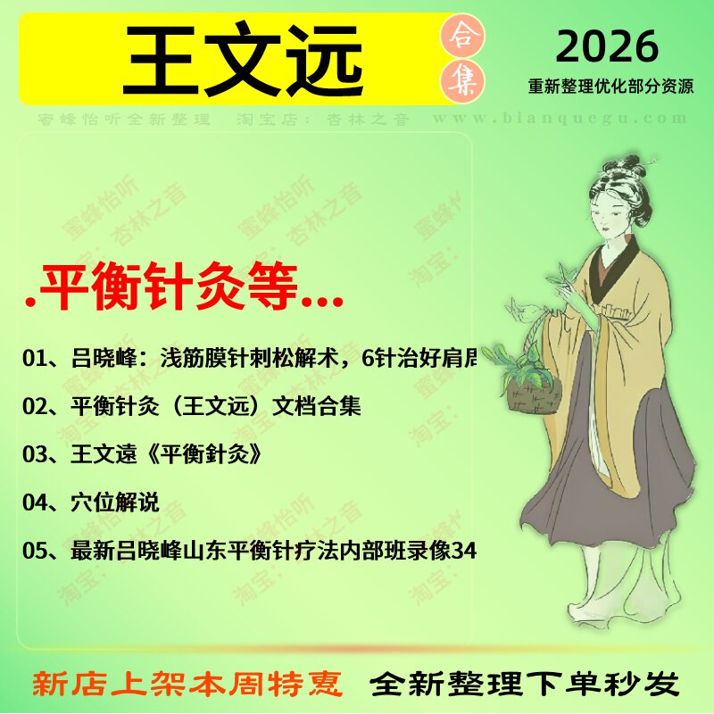 王文远平衡针灸中医视频全套赠电子资料