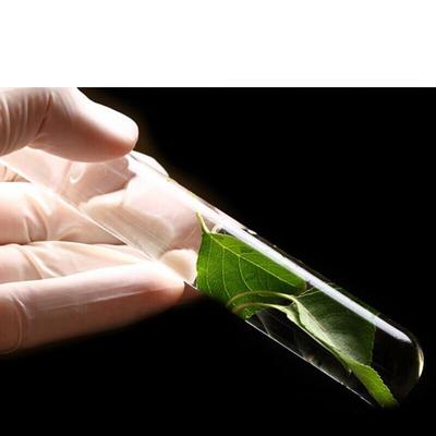 帮手仕一次性PVC检查手套(无粉)盒装抽取式家务女洗碗女防水餐饮