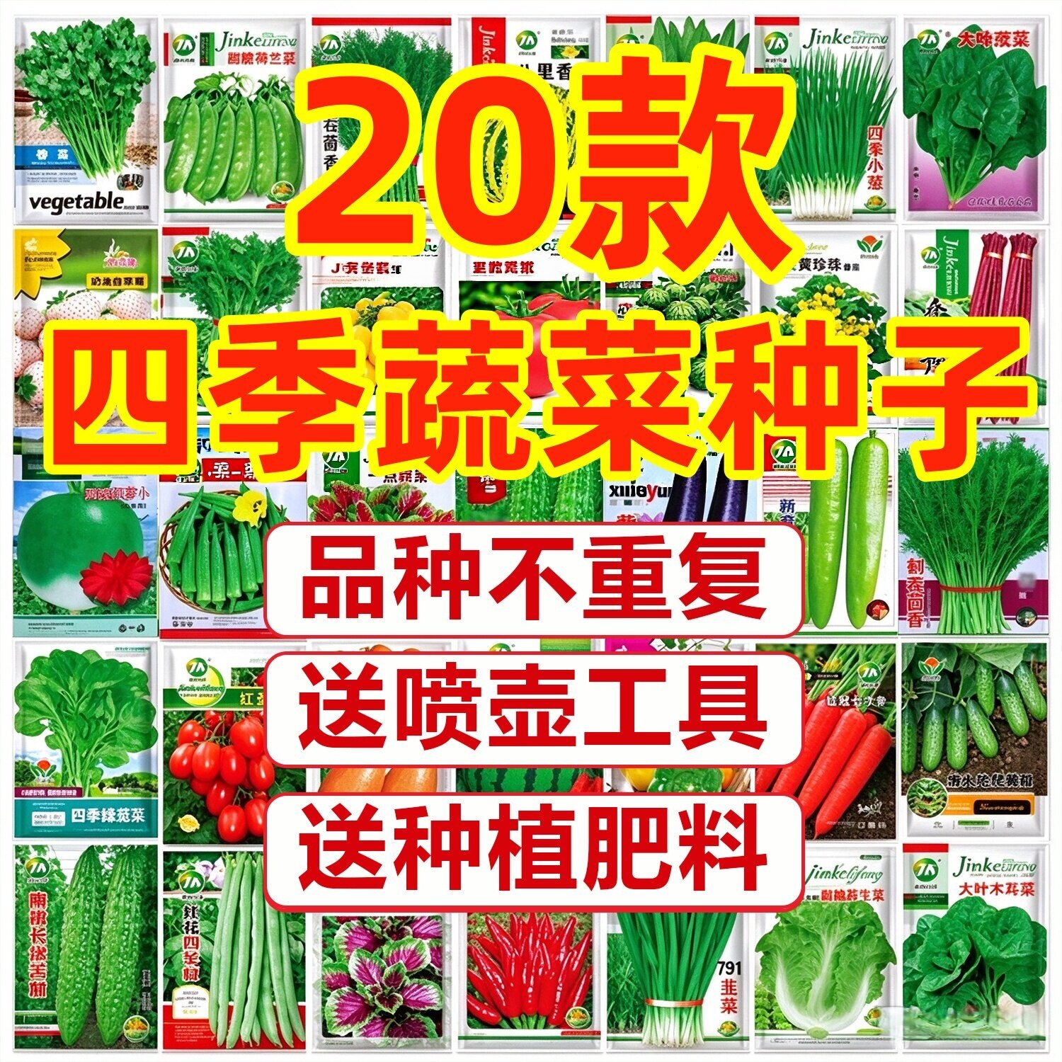 蔬菜种子四季播盆栽阳台庭院黄瓜豆角番茄甜瓜简单春易种籽孑大全