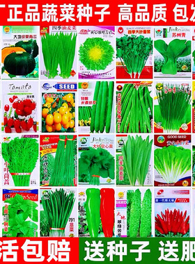 四季蔬菜种子菜种籽春夏各种瓜果黄瓜豆角番茄辣椒蔬菜籽种孑大全