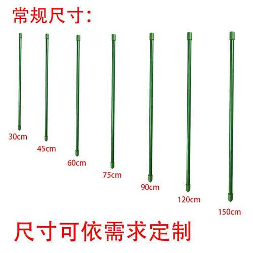 花盆植物扶花杆枝支撑架绿植防倒金钱树支撑杆绑带发财树固定支架