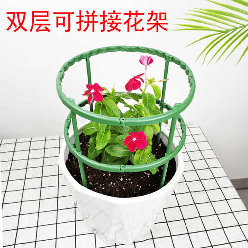 蟹爪兰支架金钱树多层双层防倒伏护叶拼接嫁接聚拢花架兰花架支撑