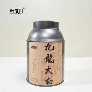 叶茗川九龙大白 松溪白茶白牡丹花香毫香甜润米汤感醇爽清甜口感