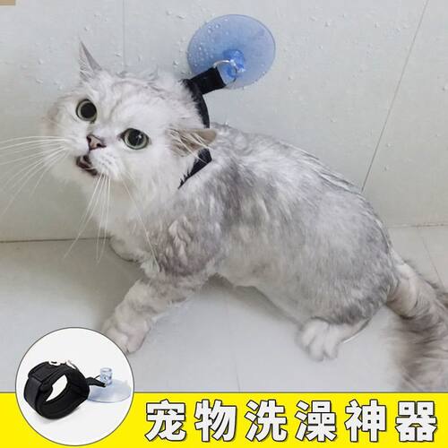 猫咪洗澡固定器宠物神绳