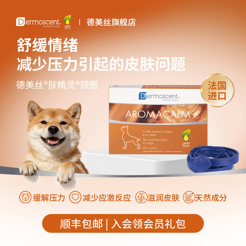 法国德美丝肤精灵犬用安抚项圈