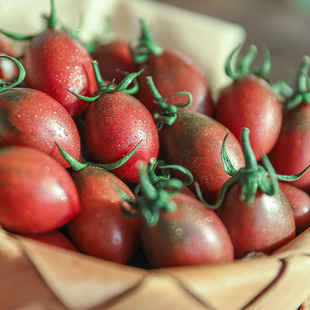 千禧小番茄圣女果新鲜自然熟紫葡萄番茄新鲜水果现摘现发蔬菜