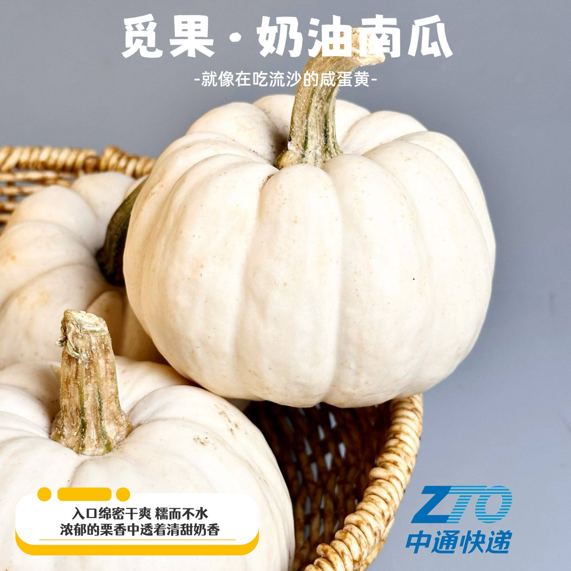 奶油贝贝南瓜白色粉糯香甜食代餐软糯香甜