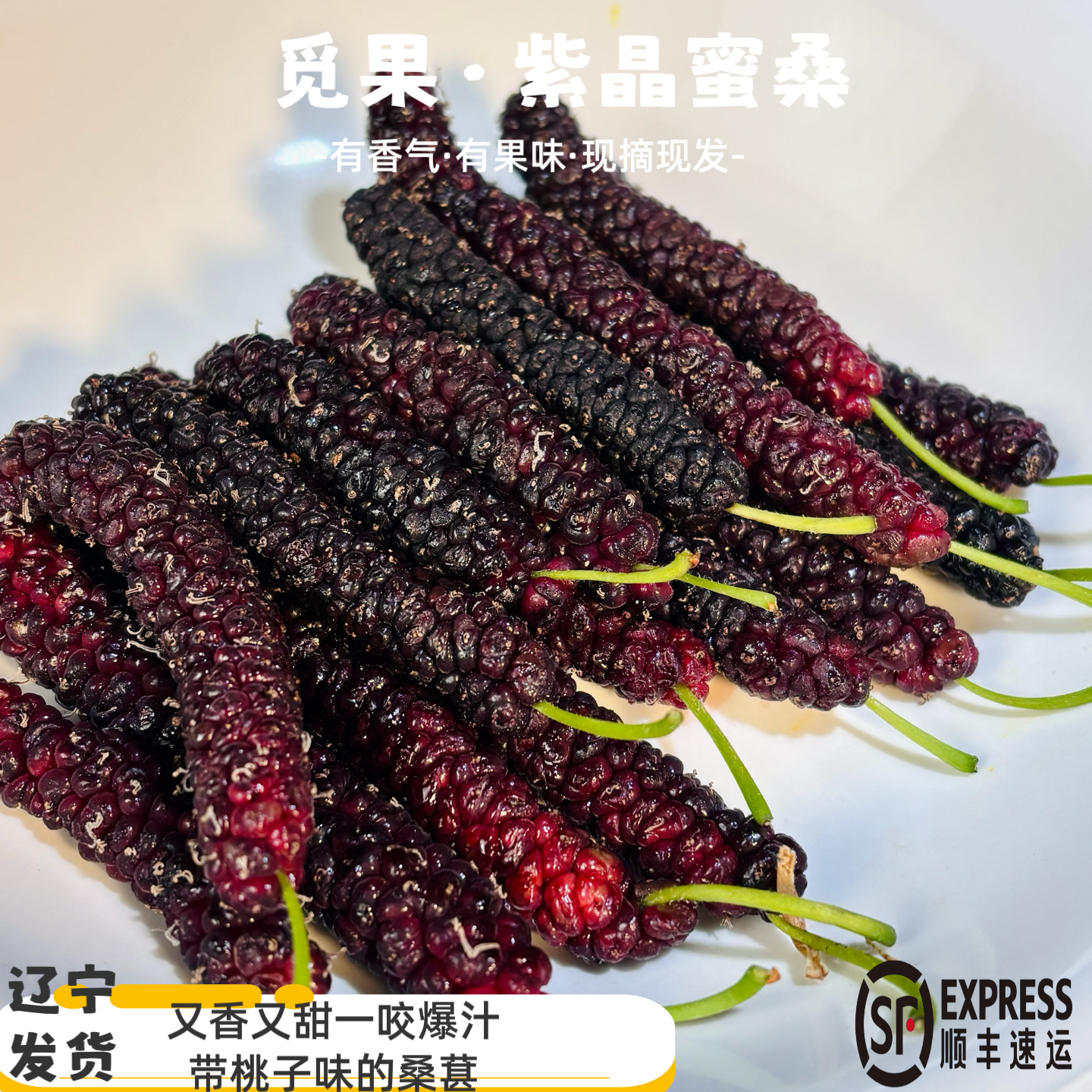 鲜长条桑葚紫晶蜜桑纯甜有香气有果味【刷新认知】现摘现发顺丰空