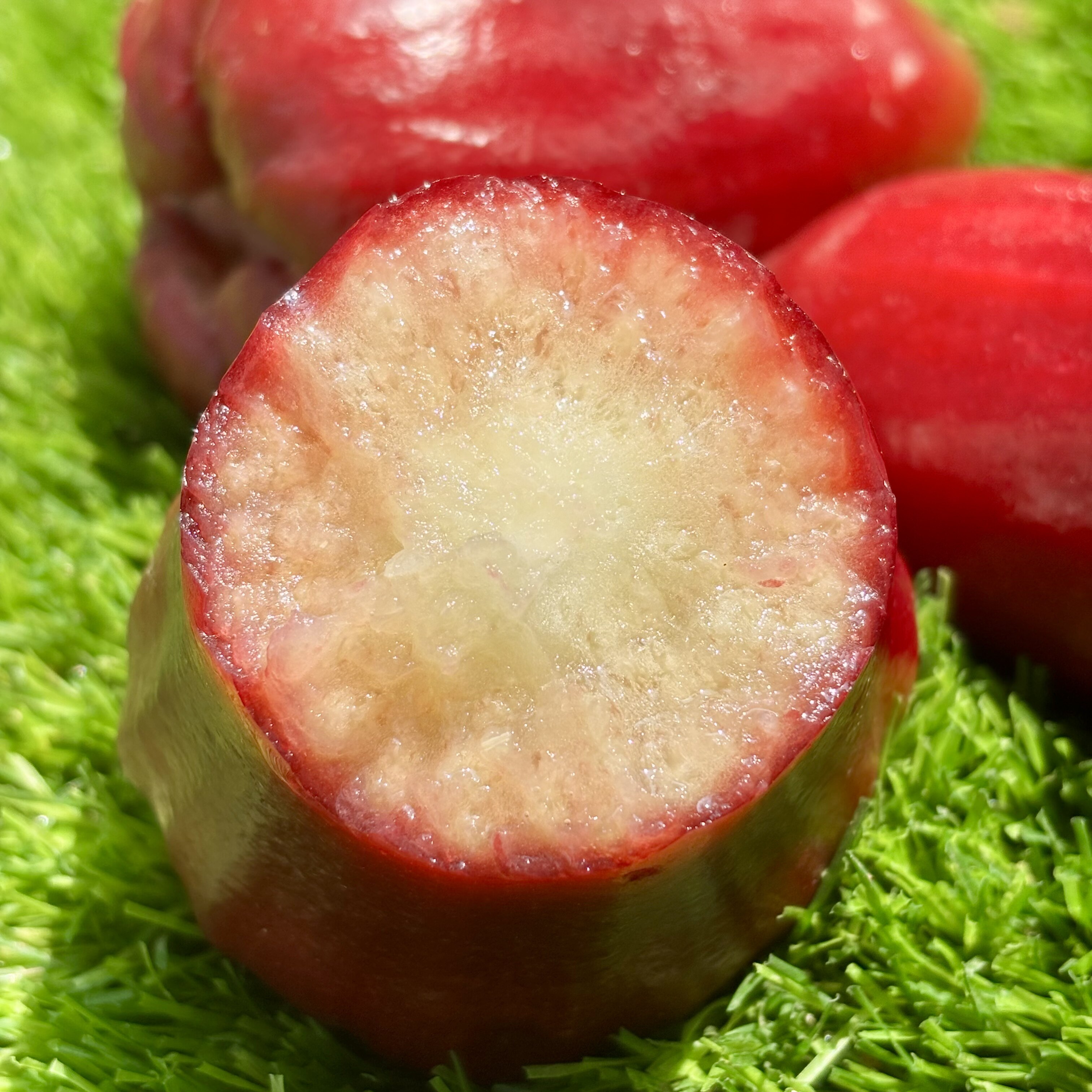 黑金刚莲雾海南新鲜采摘纯甜无酸无涩口甜度好水份多3斤起空运,水产肉类/新鲜蔬果/熟食,莲雾,淘宝优惠券,粉丝福利购,淘宝优惠卷