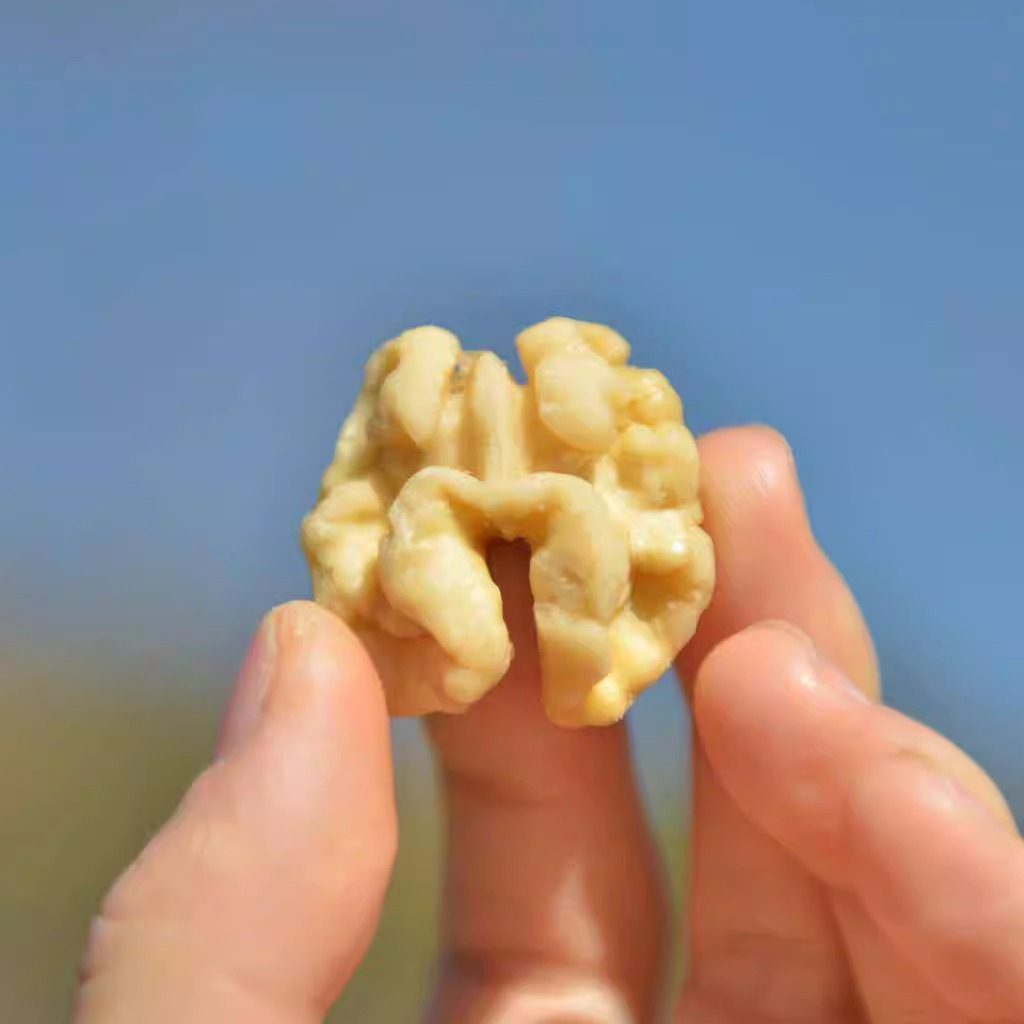 有机认证蜂蜜核桃仁清甜酥脆颗颗饱满粒粒回甘云南漾濞县100g/袋,零食/坚果/特产,核桃仁,淘宝优惠券,粉丝福利购,淘宝优惠卷