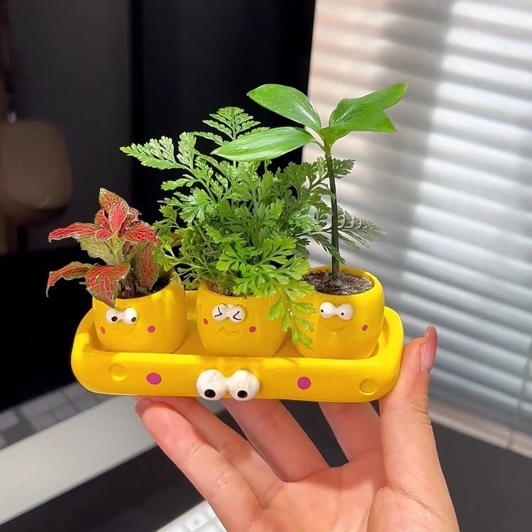 情绪稳定花盆女迷你可爱芝士奶酪客厅办公室工位绿植桌面摆件装饰