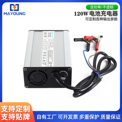 48V2A电动自行车电瓶车充电器可充爱玛台铃12Ah免维护铅酸蓄电池