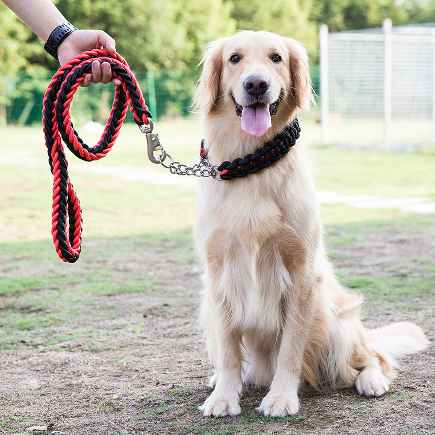 狗狗牵引绳大中型犬金毛拉布拉多狗绳子防咬断狗链子狗脖圈p绳p链