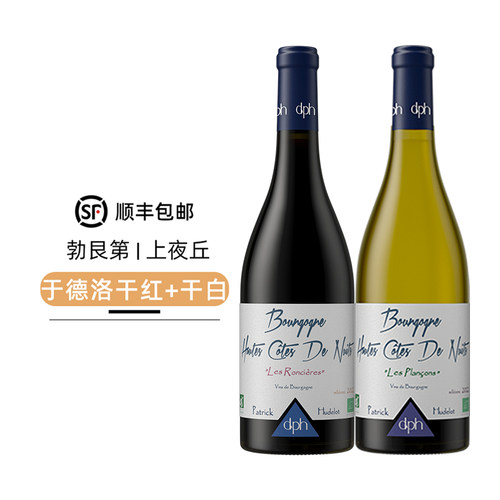 法国进口葡萄酒送礼双支装