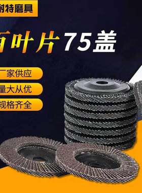 百叶片75塑盖百叶轮100型抛光金属打磨煅烧加厚不锈钢百叶抛光轮