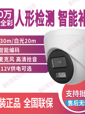 海康威视POE白光全彩摄像机人形检测半球摄像头DS-2CD1345V2-LA