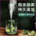 Trong nhà phụ nữ mang thai máy tạo ẩm khử trùng sương mù văn phòng định lượng điều hòa không khí hoa và trái cây câm nằm pin lithium nhỏ gọn phun sương mới - Máy giữ ẩm