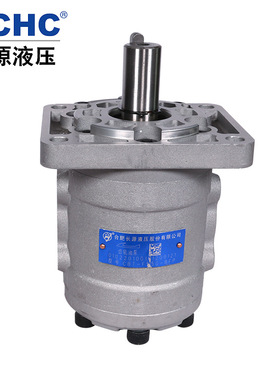 HCHC合肥长源液压泵齿轮油泵CBT-F5 合肥长源液压股份有限公司