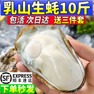 【礼盒装10斤】鲜活乳山生蚝现捕海蛎子新鲜特大牡蛎海鲜