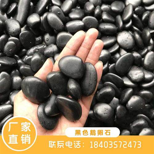 甘肃黑色鹅卵石铺路天然雨花石小石头子庭院别墅园林花园造景装饰