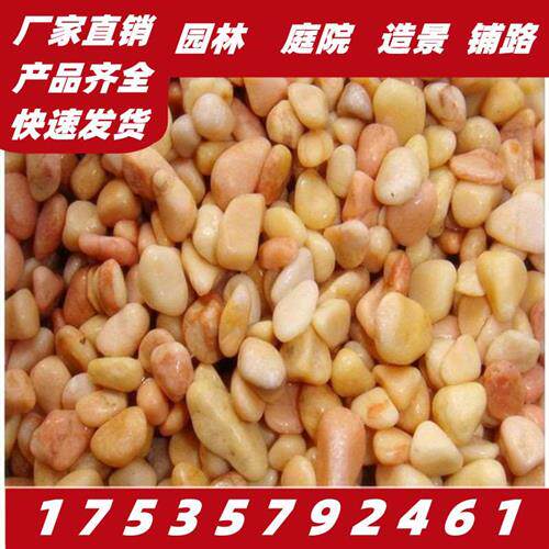 米黄色水洗石胶粘石洗石米透水石墙面胶水水刷石洗米石地面白石子