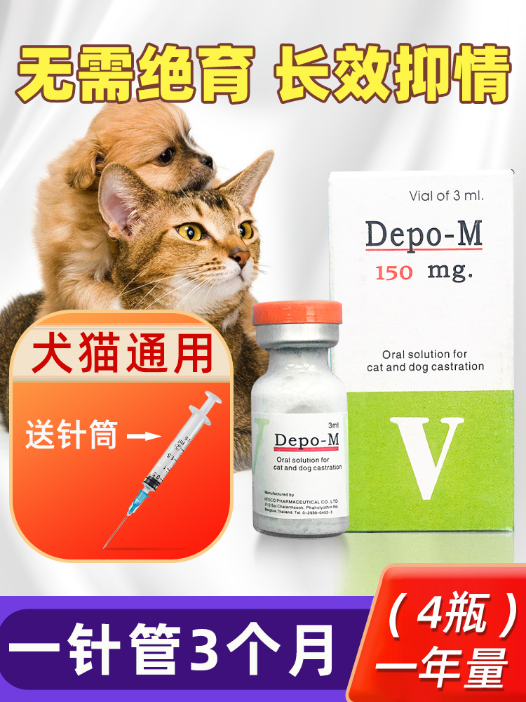 猫咪禁情粉母猫发情期抑
